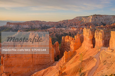 Bryce Canyon at dawn, from Sunset Point, Bryce Canyon National Park, Utah, United States of America, North America