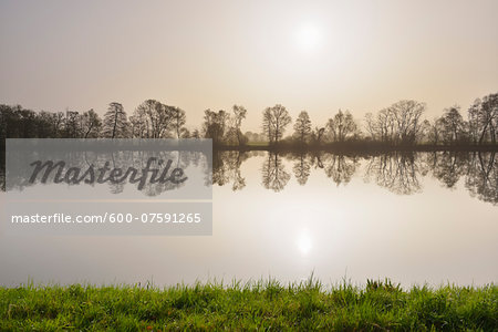 River Main in early Spring with Sun, Himmelstadt, Wurzburg Region, Lower Franconia, Bavaria, Germany