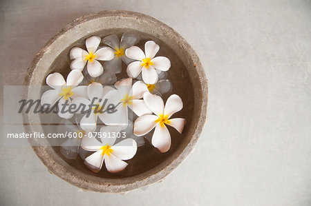 White Flowers Floating in Water in Stone Bowl White Flowers Floating in Water in Stone Bowl