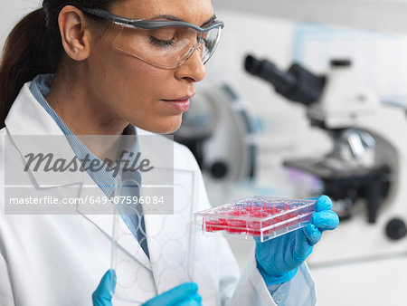 Stem cell research. Female scientist examining cell cultures in multiwell tray