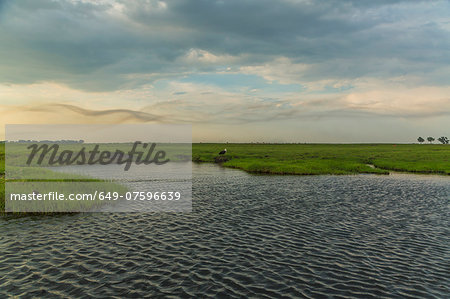 Water and grassland, Kasane, Chobe National Park, Botswana, Africa Water and grassland, Kasane, Chobe National Park, Botswana, Africa