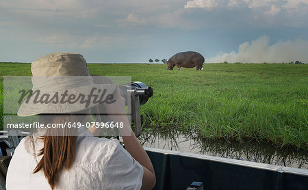 Woman photographing Hippopotamus from safari truck, Kasane, Chobe National Park, Botswana, Africa