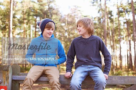Twin brothers sitting on gate in forest