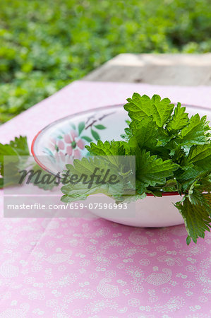 Freshly cut nettle tops in an old enamel bowl on a garden table