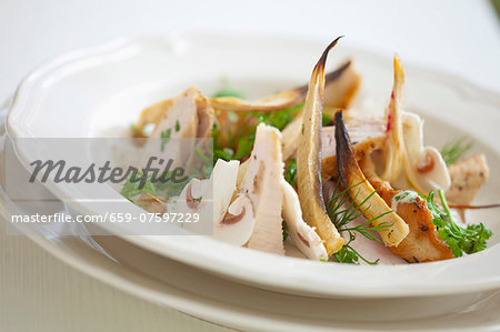 Fricassee of chicken breast with parsley root, mushrooms, parsley and fennel