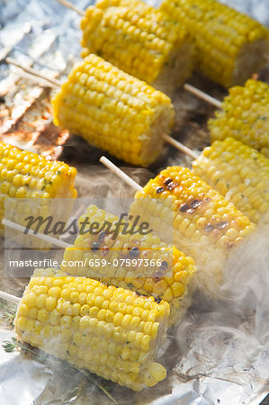 Grilled corn on the cob on aluminium foil Grilled corn on the cob on aluminium foil