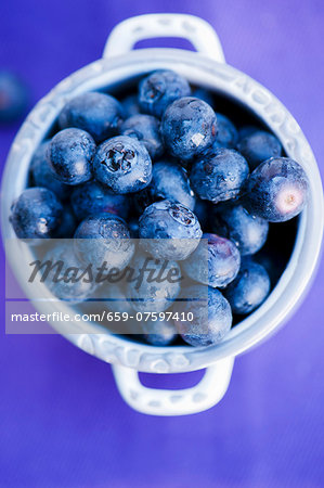 pot of fresh blueberries pot of fresh blueberries