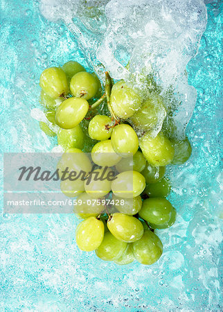 Green grapes in water Green grapes in water