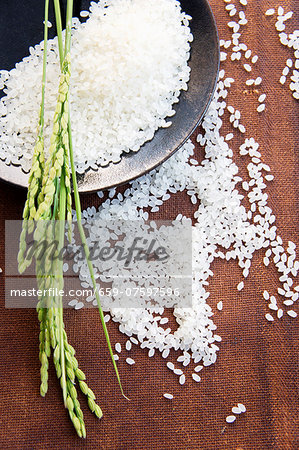 Ears of rice on a mound of rice