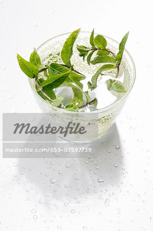 A glass of water with fresh mint