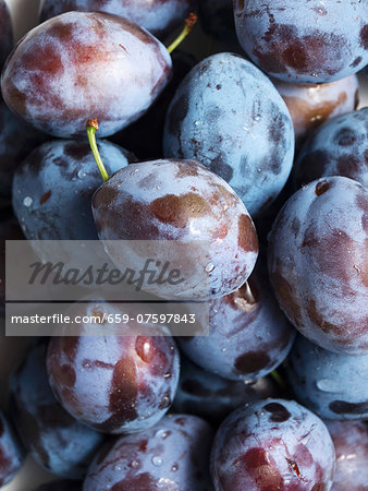 Fresh plums with water droplets, from above Fresh plums with water droplets, from above