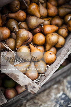 Lots of pears in a crate