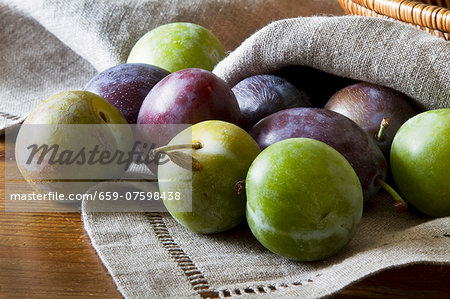 Plums and greengages on a linen napkin