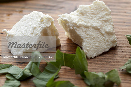 Fresh Ricotta and Basil