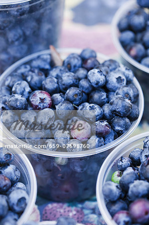 Fresh blueberries