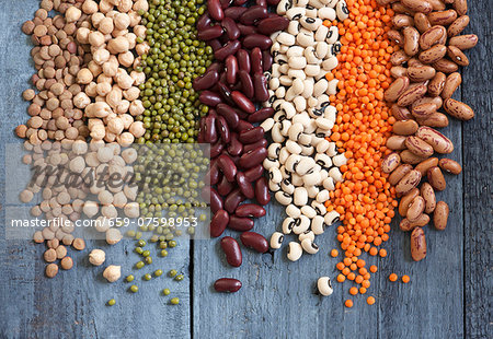 Assorted pulses in rows Assorted pulses in rows
