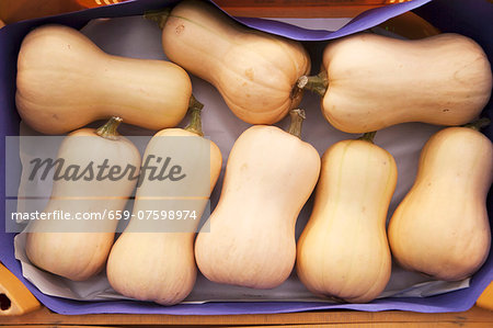 Several butternut squash in a crate (view from above)