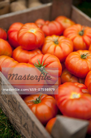 Lots of beef tomatoes in a crate