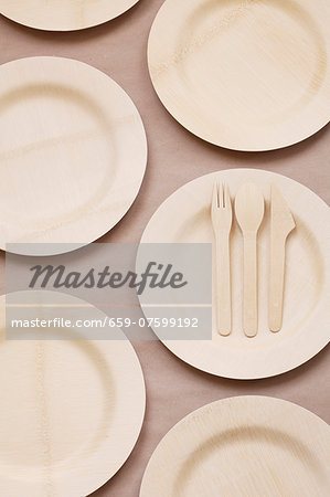 Bamboo Plates and Flatware Bamboo Plates and Flatware