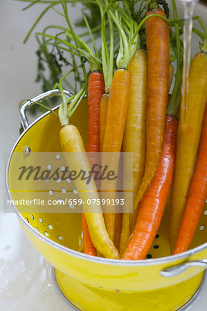 Orange and Yellow Carrots in a Colander