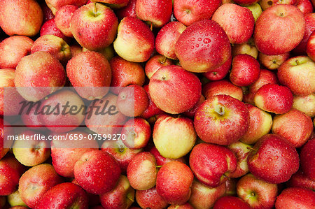 Red-cheeked apples