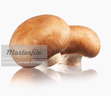 Two brown mushrooms