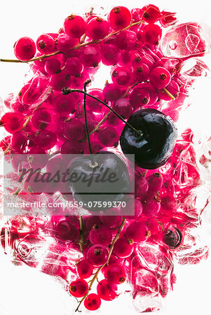 Cherries on frozen redcurrants