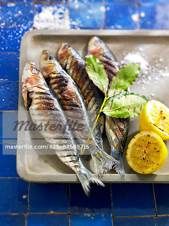 Grilled sardines