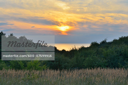 Baltic Sea at Sunset, Summer, Baltic Island of Hiddensee, Baltic Sea, Western Pomerania, Germany