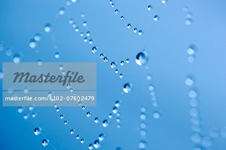 Water drops on cobweb on blue background Water drops on cobweb on blue background