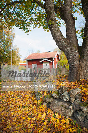 Wooden cottage at autumn, Ronneby, Blekinge, Sweden