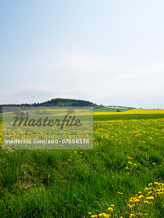 Scenic view of fields, Weser Hills, North Rhine-Westphalia, Germany