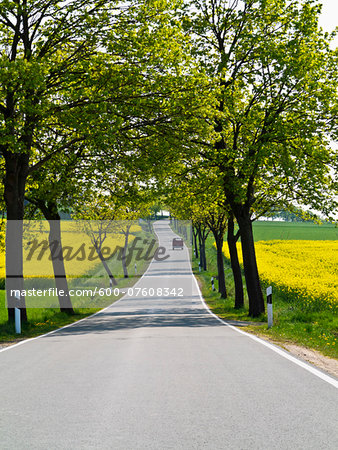 Tree-lined view of Highway through Weser Hills, North Rhine-Westphalia, Germany