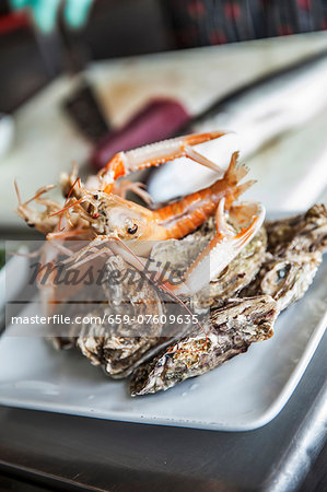 Langoustine and oysters