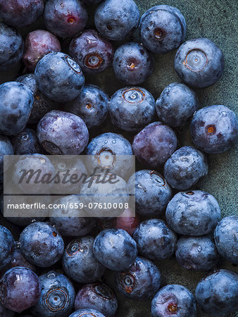 Bowl of Freshly Washed Blueberries