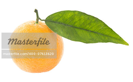 pile of Clementine Mandarin Oranges isolated on a white background (with clipping work path)