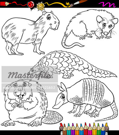 Coloring Book or Page Cartoon Illustration of Black and White Wild Animals Characters for Children