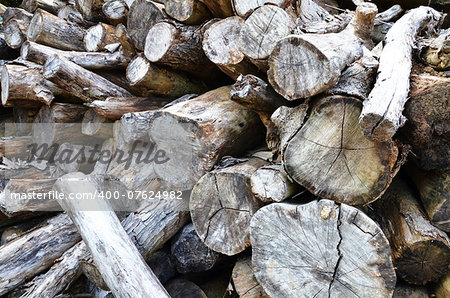 Dry chopped firewood logs stacked up in a pile