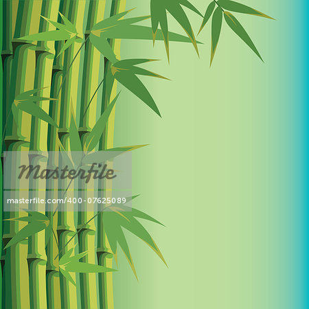 vector background with bamboo leaves and stems