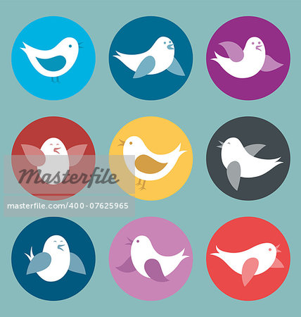 Vector flat card with birds of different color