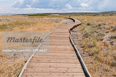 Boardwalk across Mono Lake grassland near Lee Vining, California