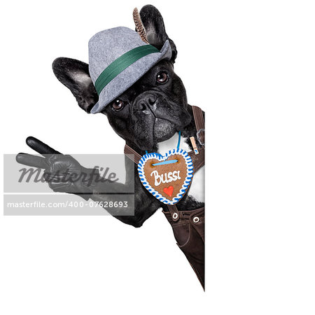 bavarian german dog besides  a white blank banner or placard with peace or victory fingers