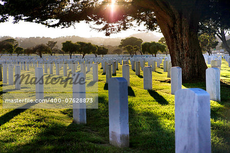 San Francisco National Cemetery in Autumn