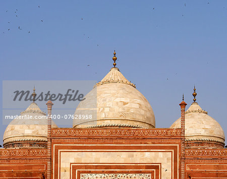 Taj Mahal Mosque detail, Agra, India