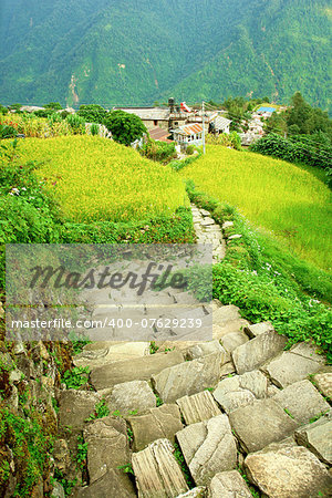 Beautiful himalayan forest landscape, trek to Annapurna Base Camp in Nepal