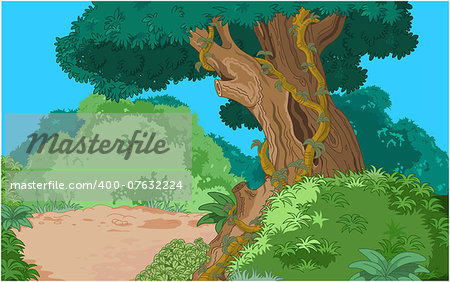 Cartoon tropical forest vegetation background