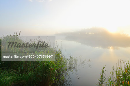 Lake at Sunrise on Misty Morning, Fischland-Darss-Zingst, Mecklenburg-Western Pomerania, Germany