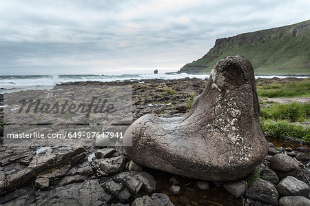 Giants foot, Giants Causeway, Bushmills, County Antrim, Northern Ireland, UK