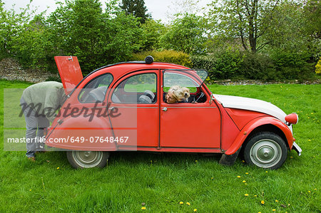 Mature couple and dog in field with vintage car