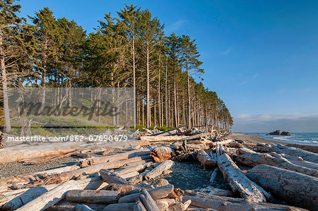 U.S.A., Washington,  Olympic National Park, Ruby Beach